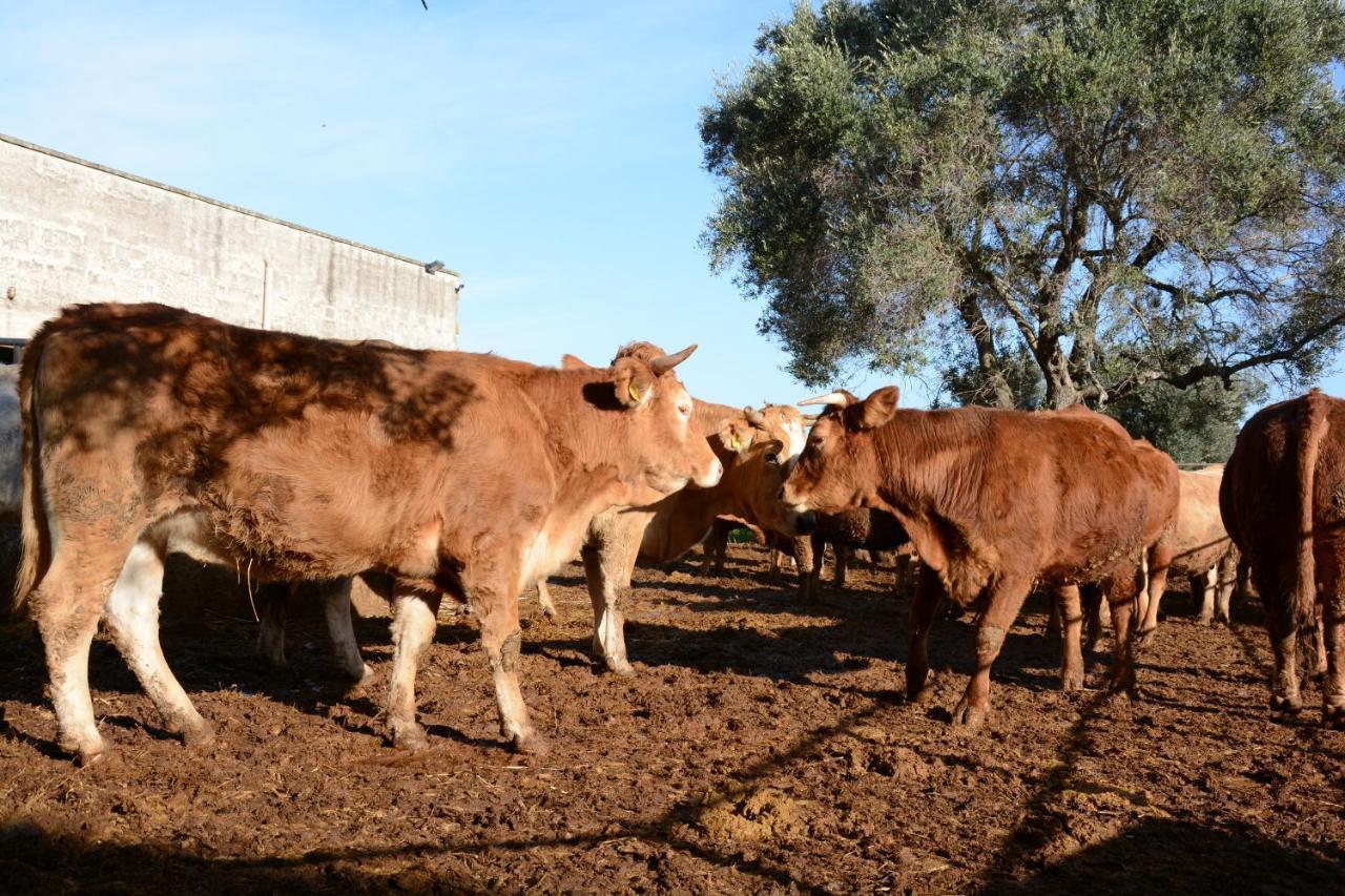 Masseria Rifisa Agriresort Caprarica di Lecce